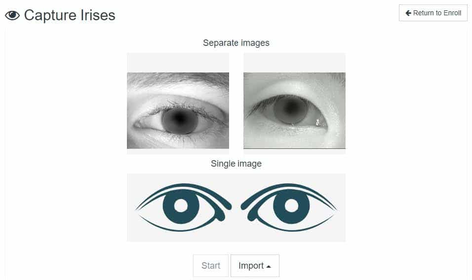 Figure 11. Irises capturing