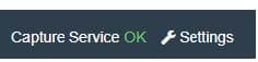 Figure 6. Web Client - status of capturing service