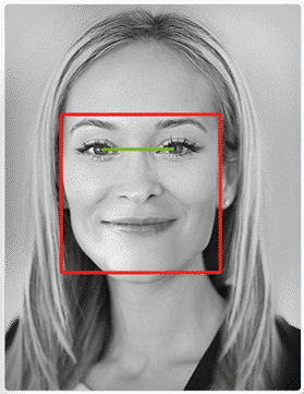 Biometric face modalities