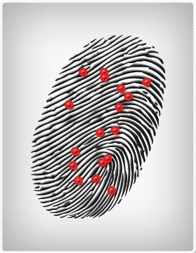 Biometric fingerprint modalities